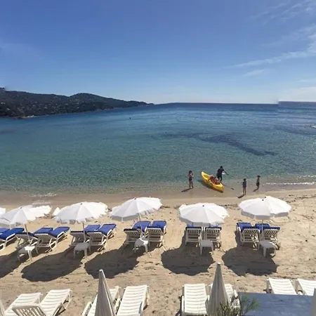 2p Avec Terrasse, Jardin Et Piscine - Le Lavandou, 4 Couchages, Parking Inclus - Fr-1-251-573
